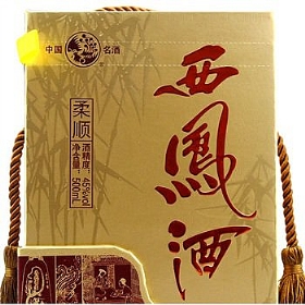 P45500(jng)혣