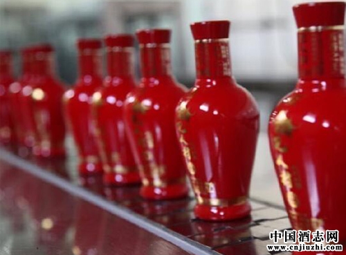 白酒酒廠典型代表研究