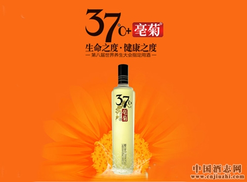 古井新品三十七度亳菊酒怎么樣?