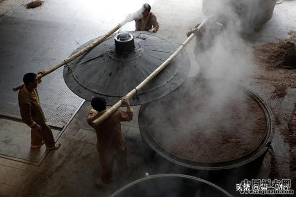 成都名片發展啟示錄:中國最老的釀酒坊如何與城市文明共振