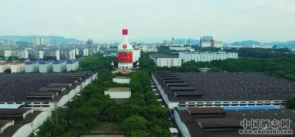 第八代五糧液好喝嗎?天人合一造就濃香傳奇